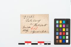 Etikett zu Bronzegürtelhaken (NHMW-PRAE-025585)